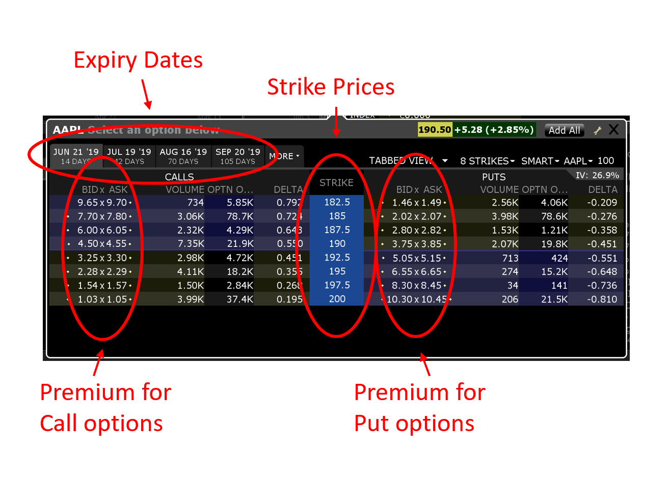 Options Trading Basics Simplified - AlgoTrading101 Wiki